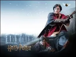 Comment s'appelle le sport pratiqu par les sorciers ?