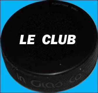 Lequel de ces sports se joue avec un palet ?