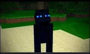 De quelle chanson est tire cette photo ?