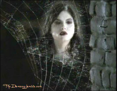 Tous les combien de temps merge le dmon araigne ?