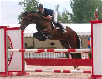 A quoi correspond l'image ?