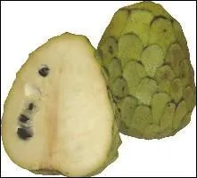 Quel est ce fruit exotique ?