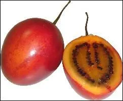 Quel est ce fruit exotique ?