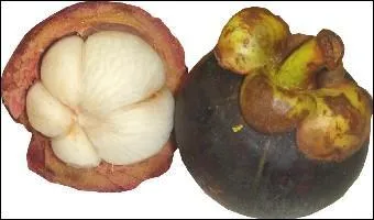 Quel est ce fruit exotique ?