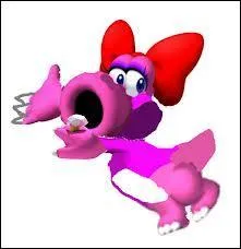 Moi, Birdo, de quelle espce suis-je ?