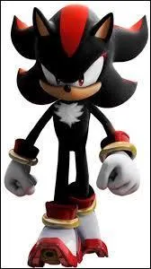 Moi, Shadow, je suis...