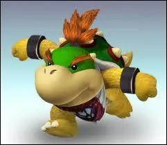 Moi, Bowser Jr, que veut dire  Jr  ?