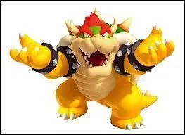 Moi, Bowser, qui est mon pire ennemi ?