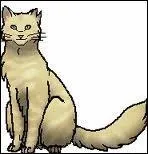 Nous ne sommes pas ns dans un clan. Qui sommes-nous ?