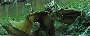 Quel est ce (charmant) dragon que Harry doit affronter ?