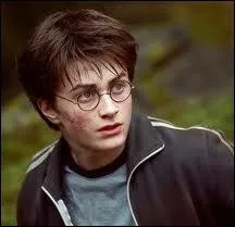 Daniel Radcliffe s'est fait connatre avec  Harry Potter . Avant de jouer dans cette saga connue de tous, il a eu un rle dans un film, lequel ?