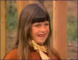 Comment s'appellent les jumelles qui jouaient Carrie Ingalls dans  La petite maison dans la prairie  ?