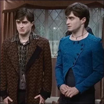 Qui est le personnage de gauche (à part un Harry) ?