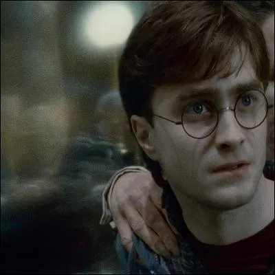 Bozo a remarqué que, durant son séjour, tout le monde aimait toucher le célèbre Harry Potter. Pour les quatre questions suivantes, il suffit d'indiquer à qui appartient la main. Les citations ne sont que décoratives !