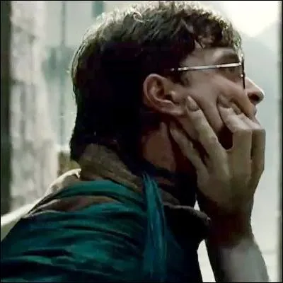 "La mort, le vrai maître ne cherche pas à la fuir. "