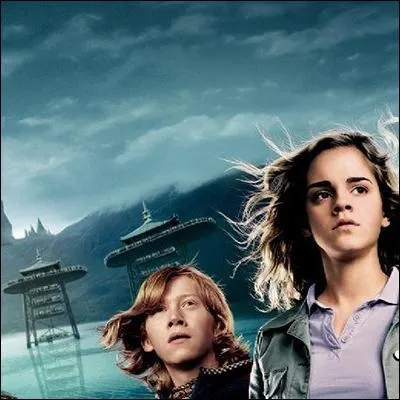 "Dans le monde il n'y a pas d'un côté le bien et le mal, il y a une part de lumière et d'ombre en chacun de nous. Ce qui compte c'est celle que l'on choisit de montrer dans nos actes, ça c'est ce que l'on est vraiment. "