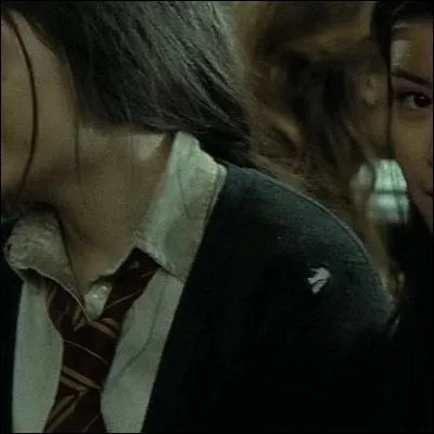 Qui est la fille qui n'est visible qu'à moitié, à droite ? Sacré Bozo.