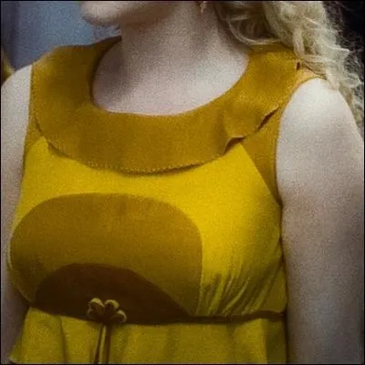 Qui porte cette robe et pour quel événement ?