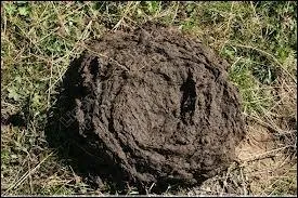 Le mot commence par : De ...