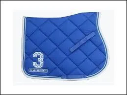 Pourquoi met-on un tapis en dessous la selle ?