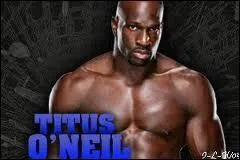 Quel est le finisher de Titus O'Neil ?