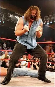 Quels sont les finishers d'Abyss ?