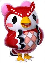 Allons observer le ciel avec...