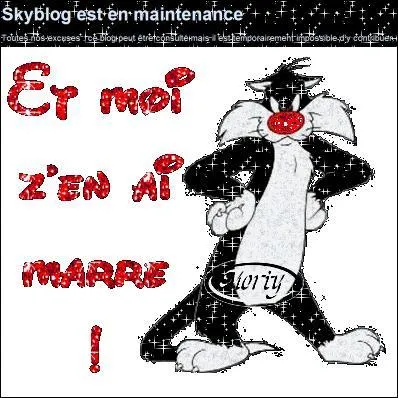 Que vous inspire cette image ?