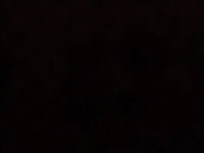 Qui Leon embrassera-t-il  l'pisode 80 ?