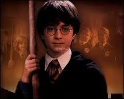 Quel ge a Harry lors de sa rentre ?