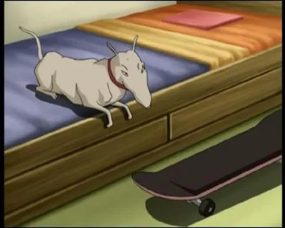 A qui appartient ce chien?