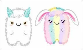 Que voit-on sur cette image ?