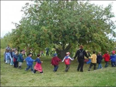 Voici le verger de l'le Nepawa, au Qubec. Le ... a invit les enfants des coles  visiter son domaine et  assister  la rcolte des ... .