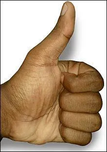 Quel sympathique quizz bizeur a choisi comme avatar ce geste d'approbation ?