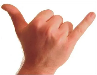 Quel signe de la main utilisent les hawaens pour se saluer ?