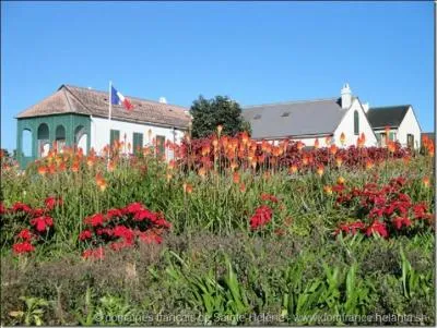 D'aprs certains historiens, l'Empereur ne serait pas inhum aux Invalides. Qui serait rellement inhum dans ce tombeau ?