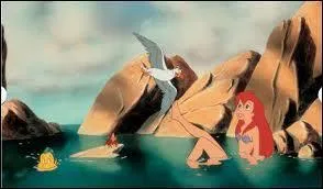 Qui est son meilleur ami ?