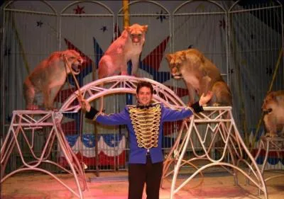 Comment s'appelle ce mtier, parfois dangereux, qui consiste  dresser des animaux dans un cirque ?