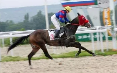 Quel est le nom de ce mtier qui consiste  monter les chevaux de course ?