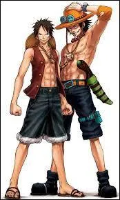 Ces deux personnages sont frres.