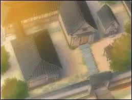 Comment s'appelle ce village ? (le village de Zoro)