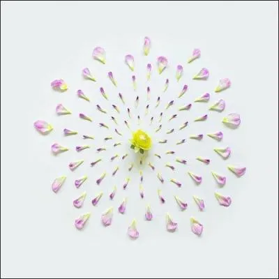 Le nom de la fleur nomme  Dahlia  vient du nom du botaniste qui l'a dcouvert :