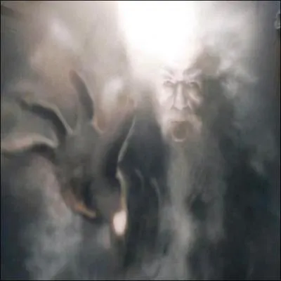  Nul n'a si peur des revenants que qui ne croit pas aux esprits.   Cette personne ne doit en aucun cas possder :