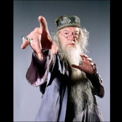  Quand le sage montre la lune, l'imbcile regarde le doigt.   Qui regarderait l'index d'Albus Dumbledore ?