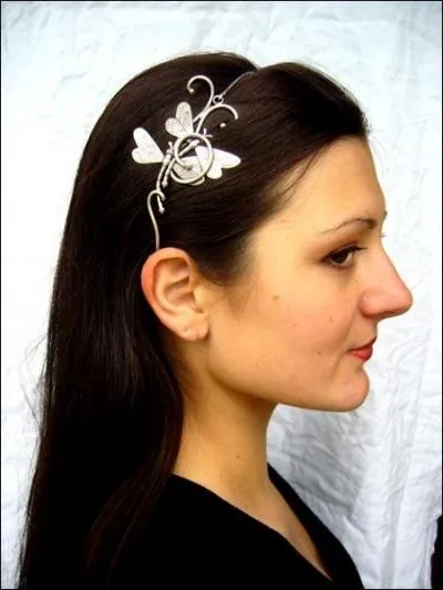  quoi sert un  serre-tte  ?