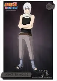 Quel est cet piste de la brume ?