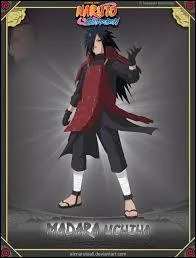 Qui est ce personnage de l'Akatsuki ?