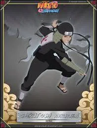 Qui est ce Hokage ?