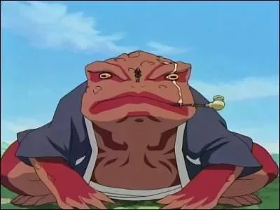 Qu'a enseign Jiraya  Naruto ?