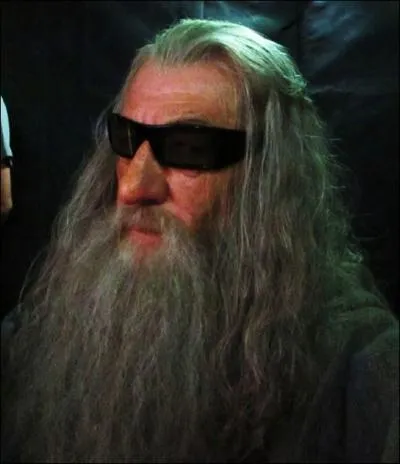 De quelle barbe se rapproche le plus celle de Gandalf le gris ?